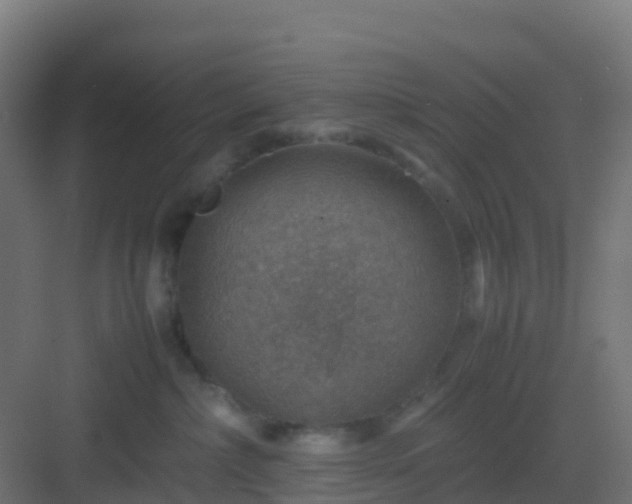 X0000082990236200702081842