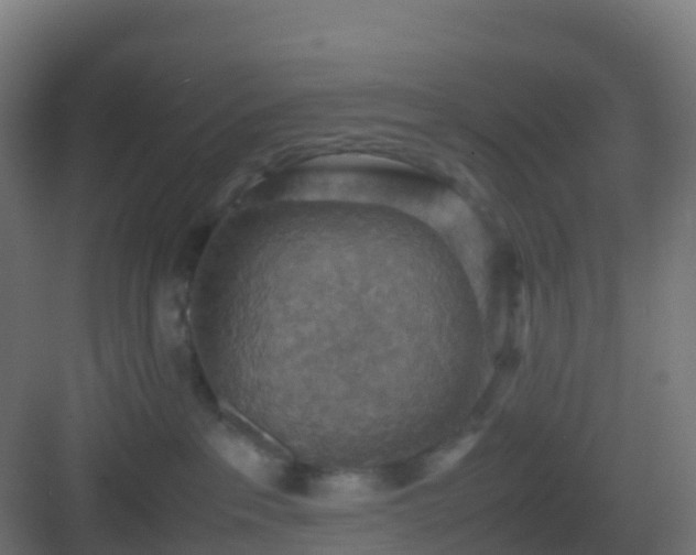 X0000082990237200702081842