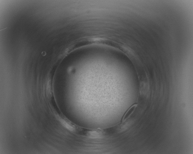 X0000082990238200702081842