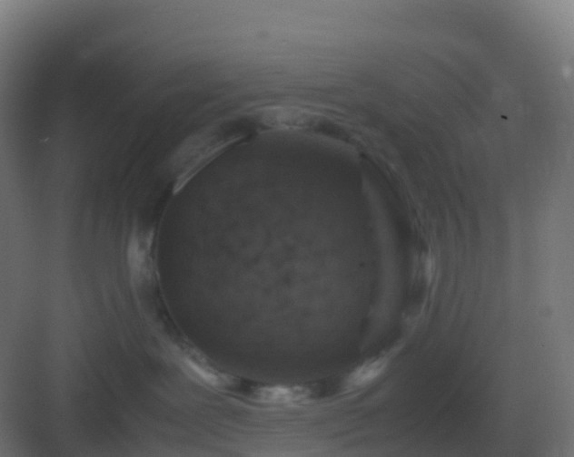 X0000082990239200702081842