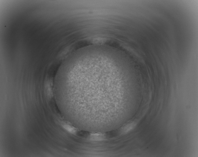 X0000082990240200702081842