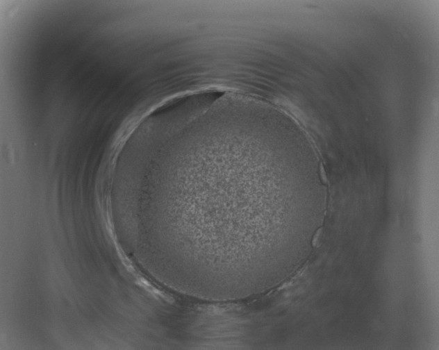 X0000082990241200702081842