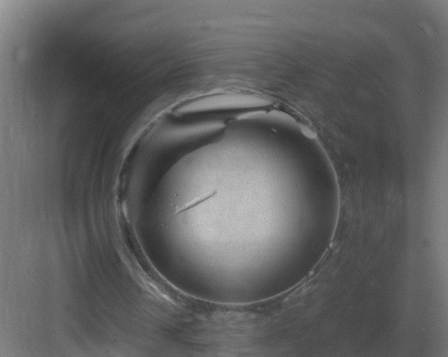 X0000082990242200702081842