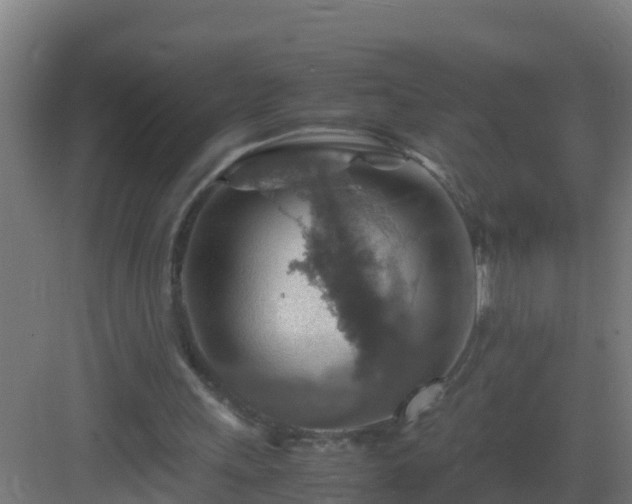 X0000082990243200702081842