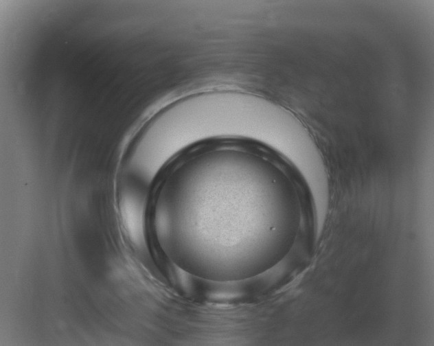 X0000082990244200702081842