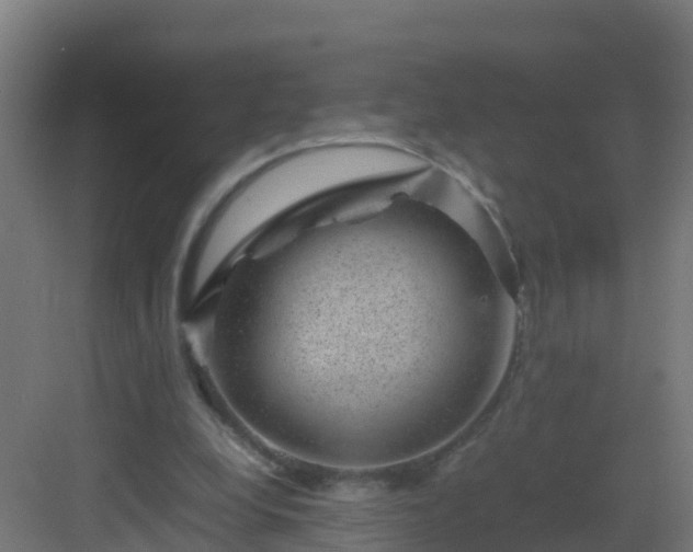 X0000082990248200702081842