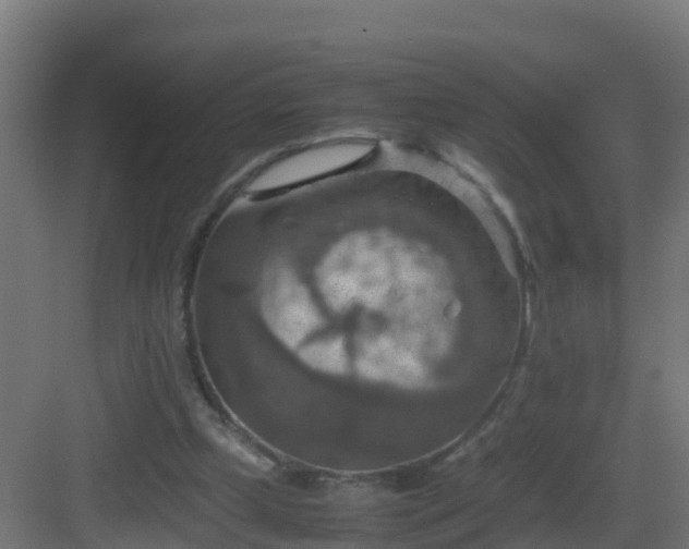 X0000082990249200702081842