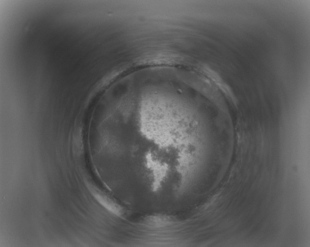 X0000082990250200702081842