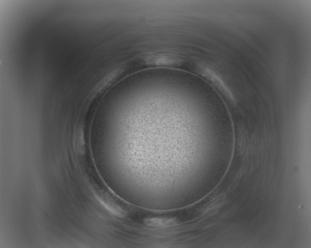 X0000082990251200702081842