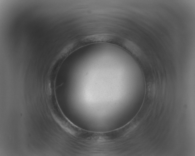 X0000082990254200702081842