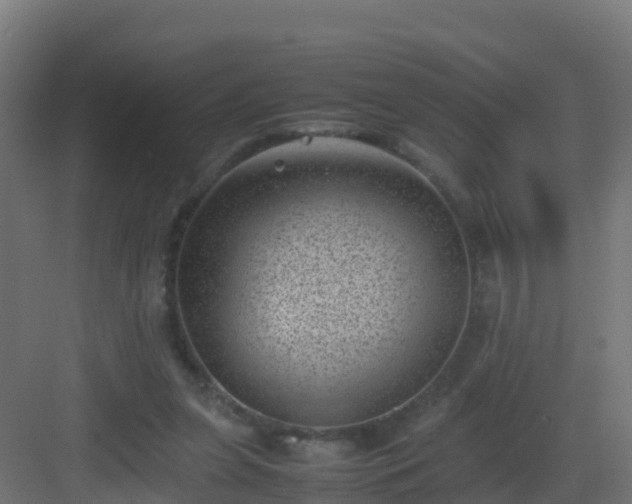 X0000082990255200702081842