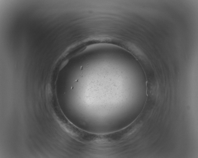 X0000082990256200702081842