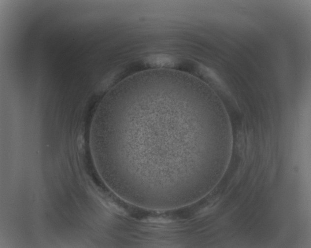 X0000082990259200702081842