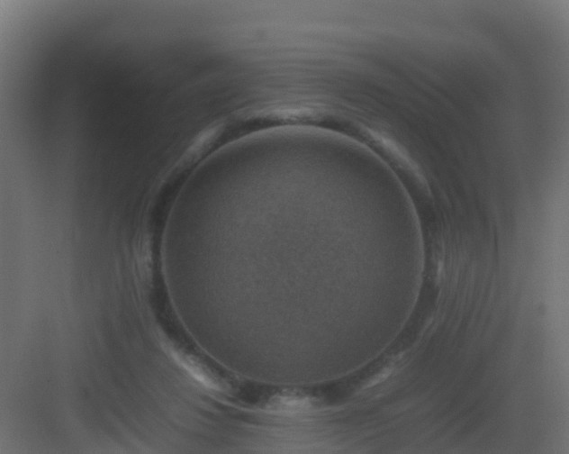 X0000082990260200702081842