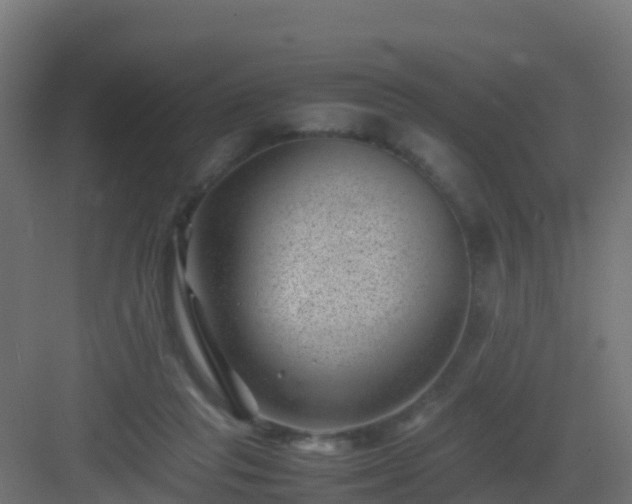 X0000082990261200702081842