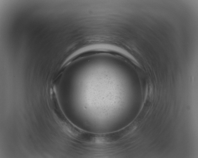 X0000082990264200702081842