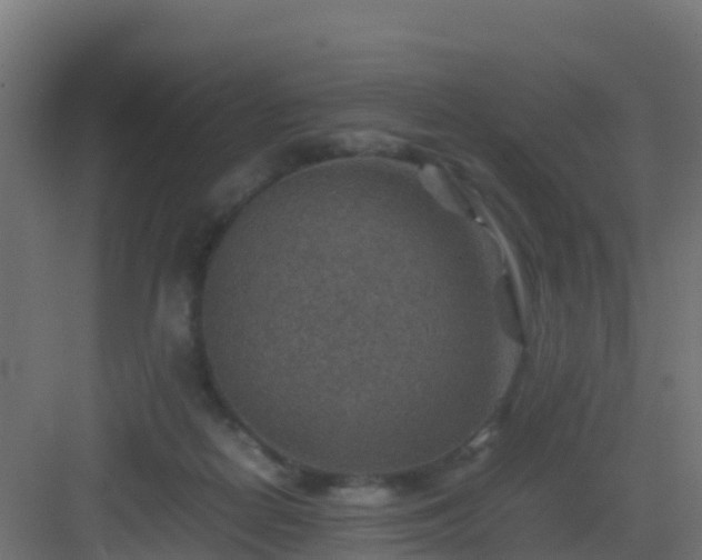 X0000082990266200702081842