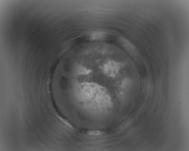 X0000082990269200702081842