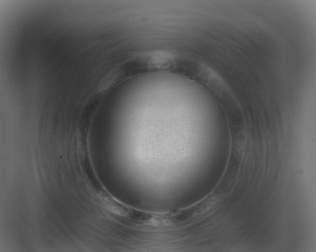 X0000082990270200702081842