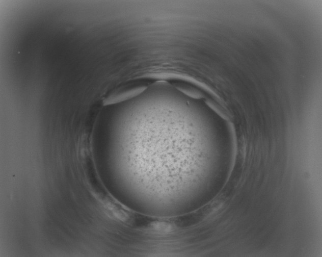 X0000082990272200702081842