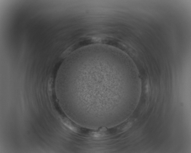 X0000082990275200702081842