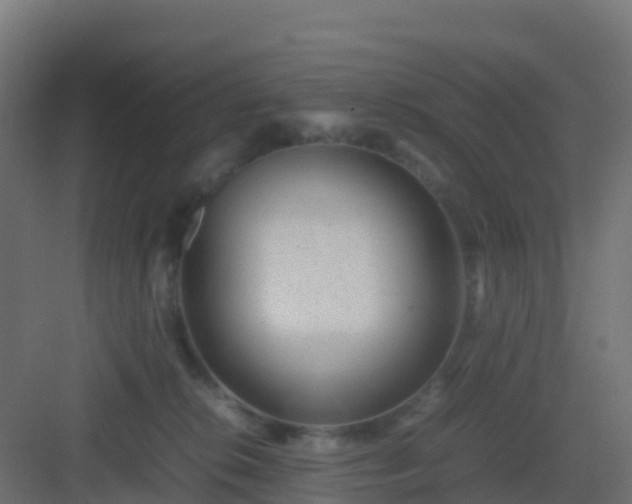 X0000082990276200702081842