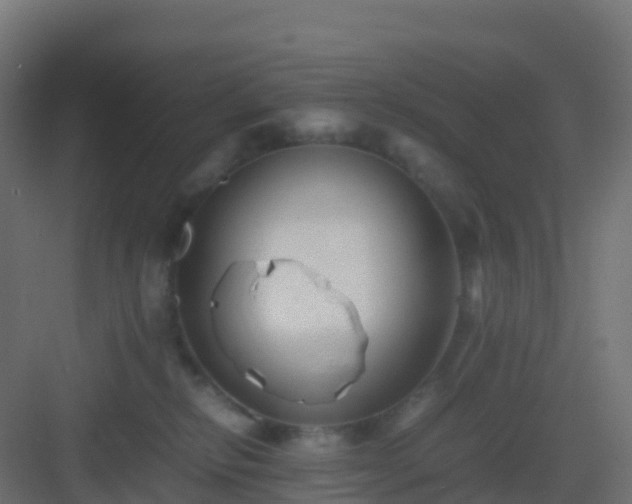 X0000082990278200702081842