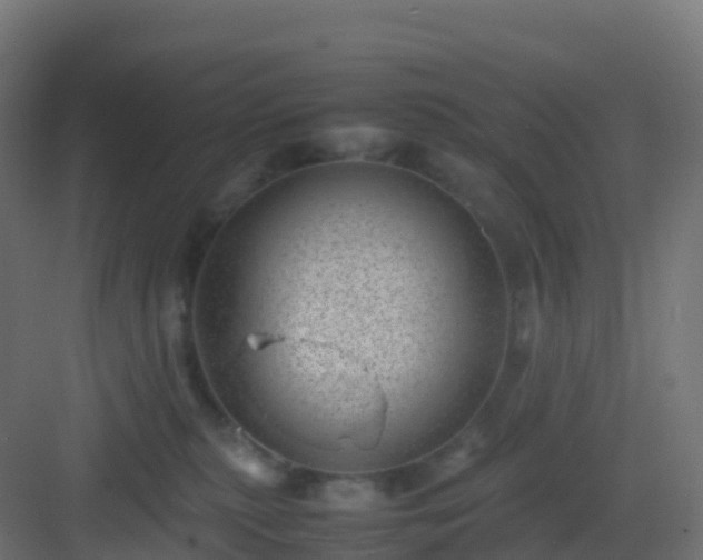 X0000082990279200702081842