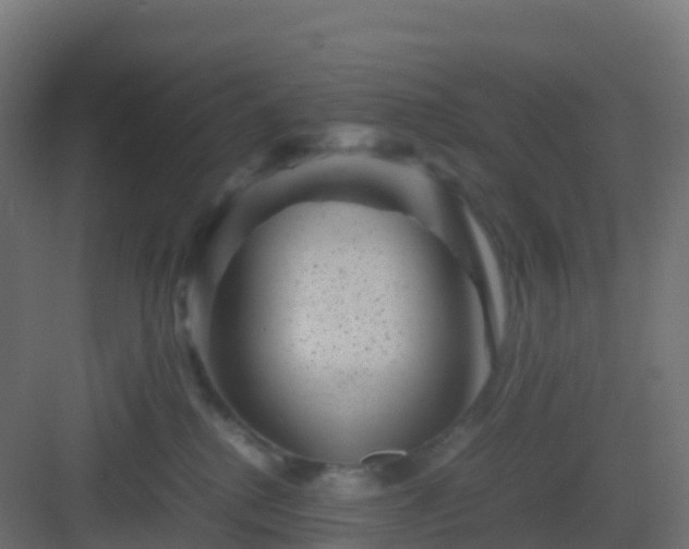 X0000082990280200702081842