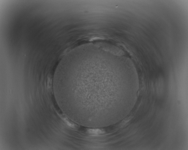 X0000082990281200702081842