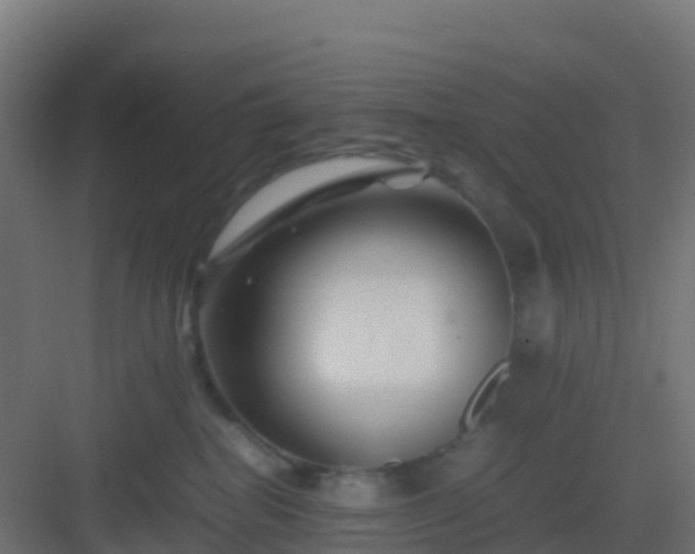 X0000082990282200702081842