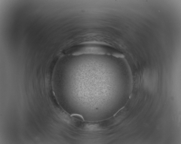 X0000082990283200702081842