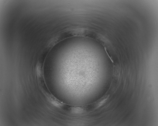 X0000082990287200702081842