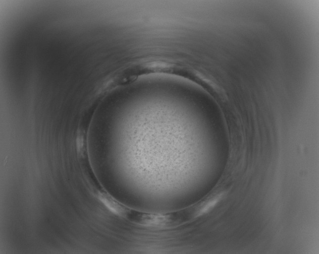 X0000082990288200702081842