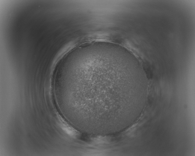 X0000082990293200702081841