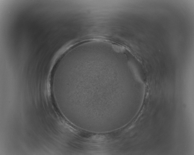 X0000082990294200702081841