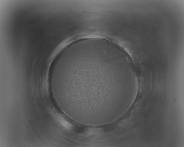 X0000082990296200702081841