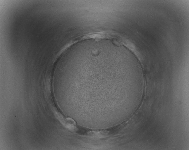 X0000082990297200702081841