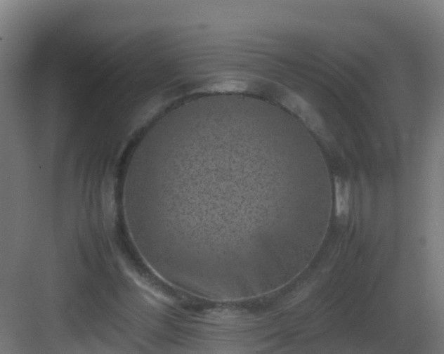 X0000082990300200702081841