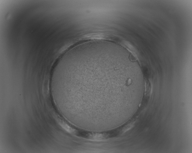 X0000082990301200702081841