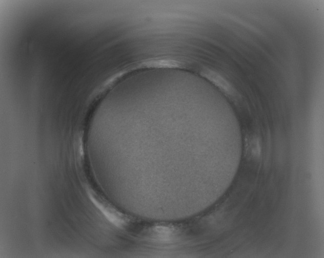 X0000082990302200702081841