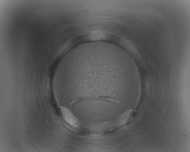 X0000082990308200702081841