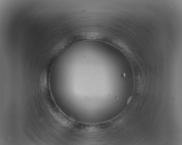 X0000082990310200702081841