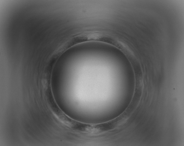 X0000082990311200702081841