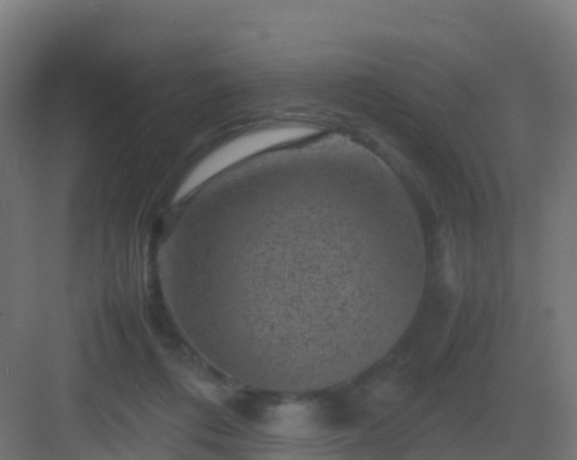 X0000082990312200702081841