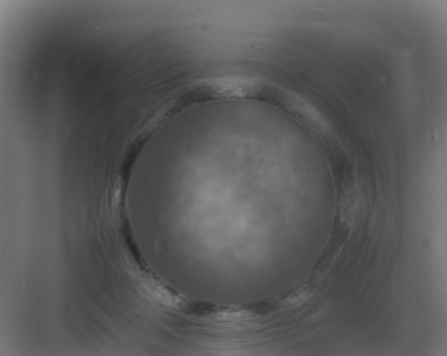 X0000082990314200702081841