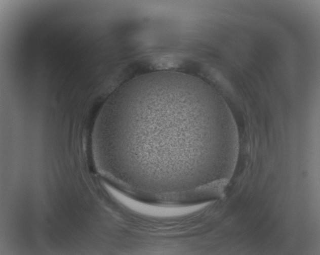 X0000082990315200702081841