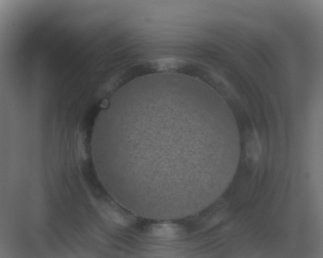 X0000082990316200702081841