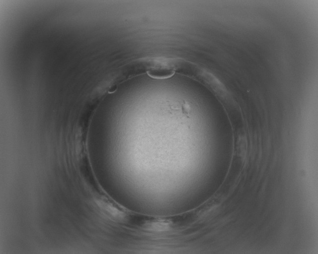 X0000082990318200702081841