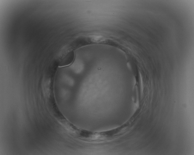 X0000082990319200702081841